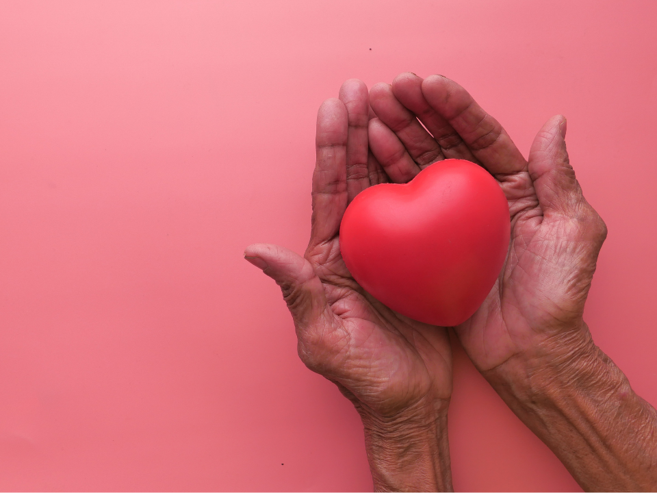 Comprendre le fonctionnement de l'empathie